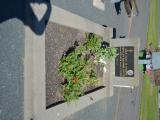image of grave number 929961